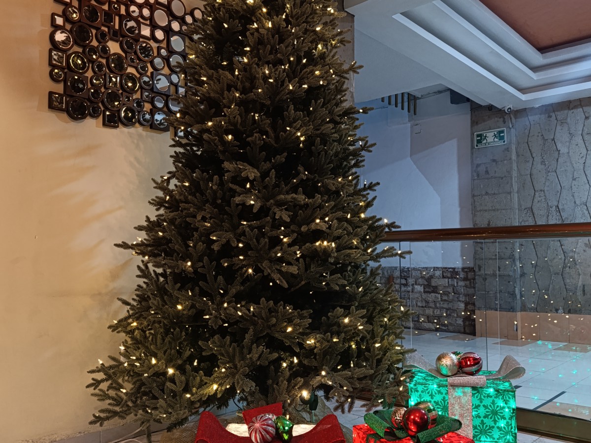 A la comunidad Nitto&nbsp;Covarrubias